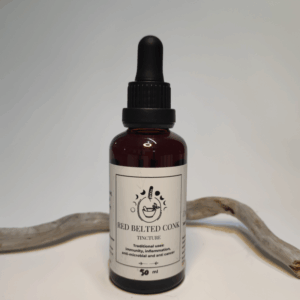 RedBeltConk50 Red Belted Conk